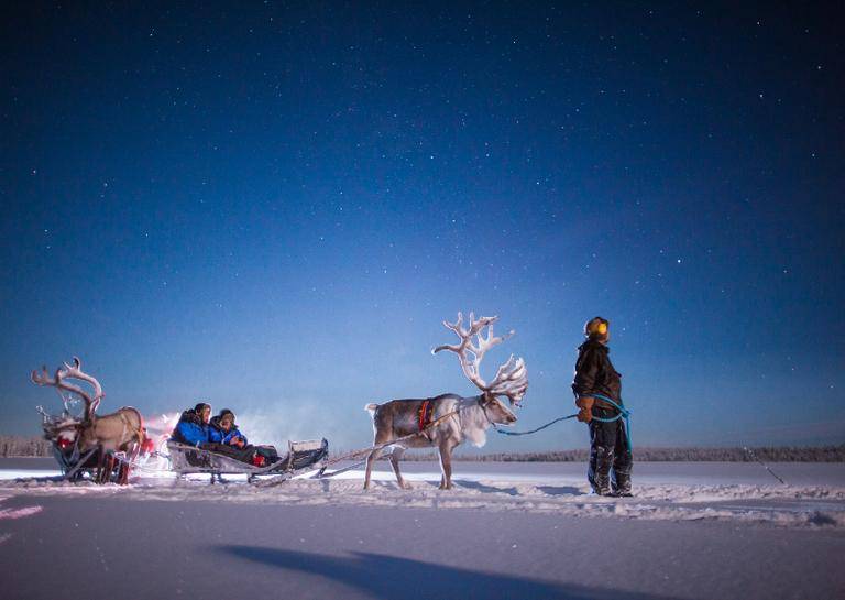 Calling Adventure Lovers: Arctic Activities